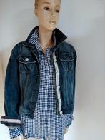 Gaastra spijker jasje in maat S, Gaastra , Jasje, Maat 36 (S), Gedragen