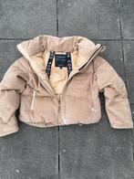 Nieuw - Cordova skijas, S/36, Ophalen, Nieuw, Maat 36 (S), Jack