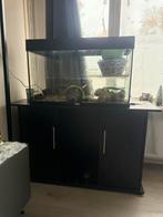 Aquarium compleet, Ophalen, Zo goed als nieuw, Gevuld zoetwateraquarium