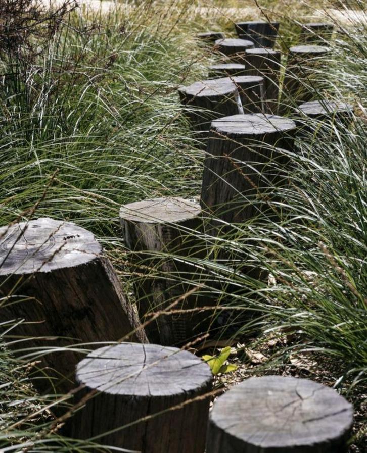 Boomstam - hout - ongekloofd, Doe-het-zelf en Verbouw, Overige Doe-het-zelf en Verbouw, Ophalen of Verzenden