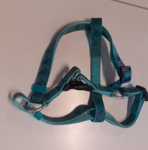 Beeztees hondentuigje 40 cm, Dieren en Toebehoren, Hondenriemen, Gebruikt, Ophalen