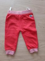 ZEEMAN stoer broekje mt 62 -- NIEUW alleen gewassen, Kinderen en Baby's, Babykleding | Maat 62, Zeeman, Broekje, Nieuw, Ophalen of Verzenden