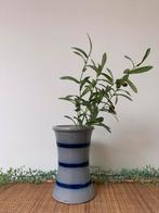 Keulse pot, vaas., Overige kleuren, Ophalen of Verzenden, Minder dan 50 cm, Glas