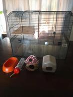 Glazen hamsterkooi, Dieren en Toebehoren, Ophalen, Minder dan 75 cm, Kooi, Minder dan 60 cm