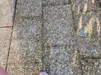 Gratis. Circa 59 vierkante meter grindtegels., Ophalen, Gebruikt, Beton, Terrastegels