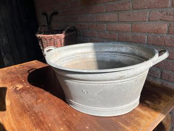 Zinken teil, heel gaaf, maat 50 beschikbaar voor biedingen