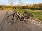 Elektrische fiets Pegasus Solero E8, Minder dan 10 versnellingen, 47 tot 50 cm, Zo goed als nieuw, Ophalen