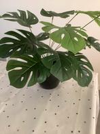 Kunstplant zeer realistisch, met pot zwart glans, Ophalen, Zo goed als nieuw, Binnen