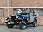 Jeep DJ5 (HERMAN BROOD) Canvas cab. 3.8 DJ Cabriolet, Auto's, Oldtimers, Overige kleuren, Cabriolet, 4 stoelen, Overige brandstoffen