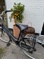 Sparta damesfiets, Ophalen, Sparta, Handrem, 53 tot 56 cm