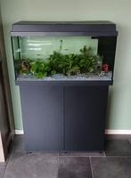 JUWEL Aquarium set Primo 110 2.0 zwart 110 L met LED-verl., Dieren en Toebehoren, Vissen | Aquaria en Toebehoren, Ophalen, Gebruikt
