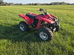 Yamaha wolverine 350cc, Motoren, 1 cilinder, 350 cc