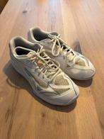 Mizuno maat 40,5 zaalschoen, Sport en Fitness, Korfbal, Ophalen of Verzenden, Zo goed als nieuw, Schoenen