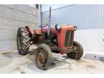 Massey Ferguson - - Vintage Tractor, Zakelijke goederen, Agrarisch | Tractoren, Oldtimer, Massey Ferguson