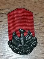 Onbekende knoops speld militair?, Ophalen of Verzenden, Overige soorten, Overige gebieden, Embleem of Badge
