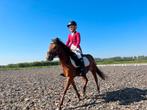 Te lease lieve bixie A-pony Bomproof, Dieren en Toebehoren, Minder dan 160 cm, B, Ruin, 7 tot 10 jaar