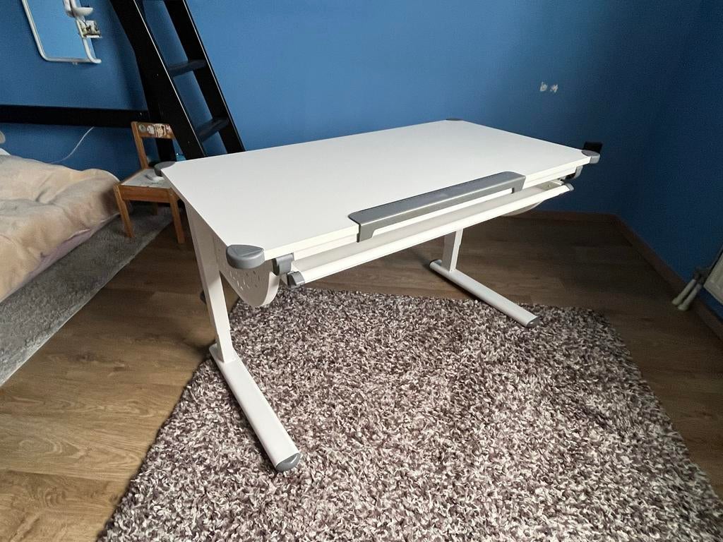 Kinder tekentafel - verstelbaar, Kinderen en Baby's, Kinderkamer | Tafels en Stoelen, Ophalen of Verzenden, Gebruikt, Tafel(s)