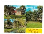 Tirns. Groeten uit., Ophalen of Verzenden, 1960 tot 1980, Ongelopen, Friesland