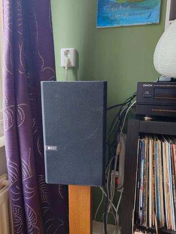 Kef Q100 Boekenplank Speakers - Bi-wire mogelijkheid beschikbaar voor biedingen