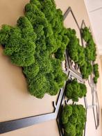 Mosschilderij - heksagon -boom, Huis en Inrichting, Woonaccessoires | Wanddecoraties, 5411EN Gameren, Nieuw, Ophalen of Verzenden