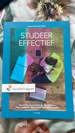 Studeer effectief, Ophalen of Verzenden, Nieuw, Bernadette Hout-Wolters van; Albert Pilot; Pieter Jongepier; ...