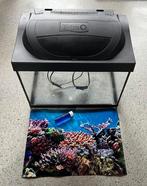 TETRA Aquarium Starter Line LED 30L 41x30x25 cm, Dieren en Toebehoren, Vissen | Aquaria en Toebehoren, Ophalen, Gebruikt, Leeg aquarium