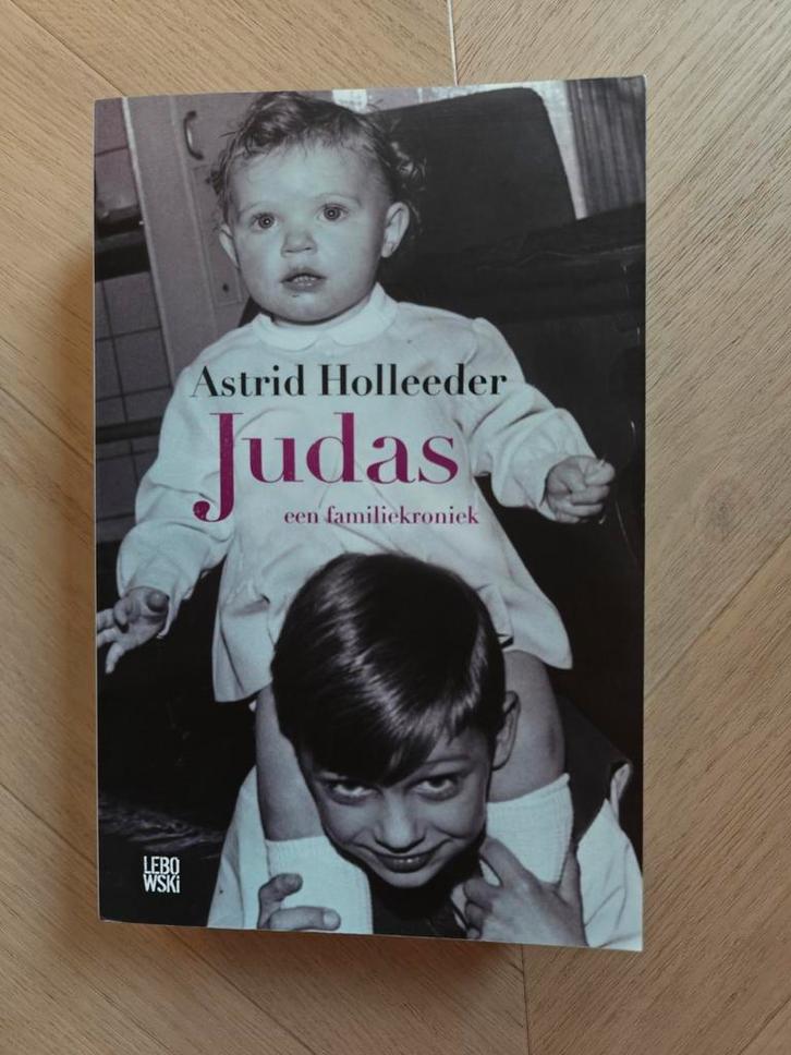 Astrid Holleeder - Judas, Boeken, Detectives, Zo goed als nieuw, Ophalen of Verzenden