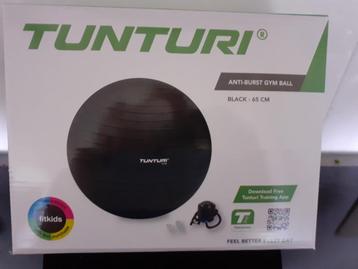 Fitness anti burst bal met pomp beschikbaar voor biedingen