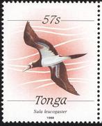 TONGA 5 - Dieren: vogels (bruine gent), Postzegels en Munten, Ophalen of Verzenden, Dier of Natuur, Postfris