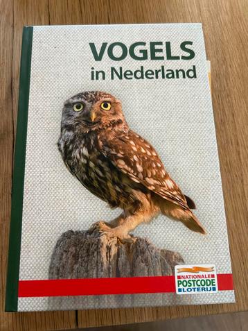 Vogels in Nederland - Veldgids beschikbaar voor biedingen
