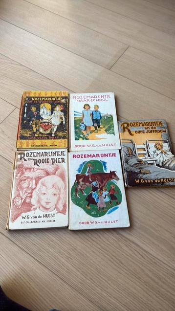 5 rozemarijntjes - oud beschikbaar voor biedingen