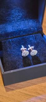 Gouden oorbellen 14kt, 72 diamanten, 0.24 karaat incl doos, Sieraden, Tassen en Uiterlijk, Oorbellen, Ophalen of Verzenden, Nieuw