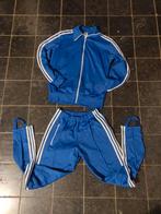 ADIDAS, trainingspak, blauw, M, Ophalen of Verzenden, Adidas, Gedragen, Algemeen