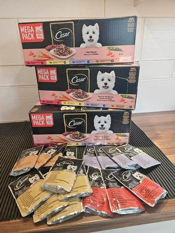 🐾  Cesar selectie in saus 136 zakjes 30-06-2027 beschikbaar voor biedingen