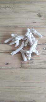 Wit koraal voor aquarium, Dieren en Toebehoren, Vissen | Aquaria en Toebehoren, Ophalen of Verzenden