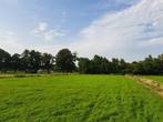 Weidegang met schuilstal nabij Apeldoorn, Dieren en Toebehoren, Stalling en Weidegang, Weidegang