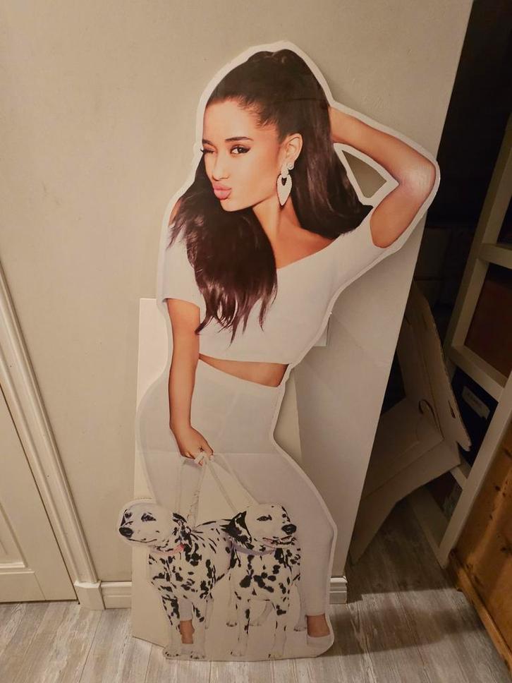 Officiële Ari by Ariana Grande parfum cutout bord life size, Verzamelen, Muziek, Artiesten en Beroemdheden, Ophalen