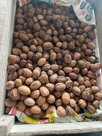 27 kg walnoten uit eigen tuin van vorig al gedroogd, Ophalen of Verzenden