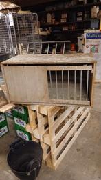 Broedhokjes b 84 d 41 h 42, Dieren en Toebehoren, Vogels | Duiven, Meerdere dieren, Overige soorten