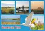 Ansichtkaart	Texel	5-luik	Molen, Verzenden, 1980 tot heden, Gelopen, Waddeneilanden