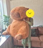 Mega Capibara Knuffel - Super Groot!, Kinderen en Baby's, Speelgoed | Knuffels en Pluche, Ophalen of Verzenden, Zo goed als nieuw