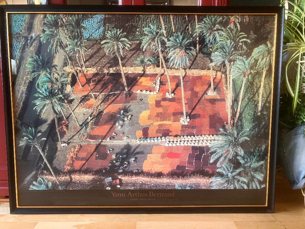 yann arthus bertrand, Zo goed als nieuw, Yann Artus Bertrand, Ophalen, Fotografen