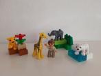 Duplo - Baby dierentuin - 4962, Kinderen en Baby's, Speelgoed | Duplo en Lego, Complete set, Duplo, Ophalen of Verzenden, Zo goed als nieuw