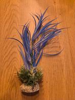 Plant paars, Dieren en Toebehoren, Vissen | Aquaria en Toebehoren, Ophalen, Zo goed als nieuw, Plant(en), Steen of Hout