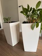 LECHUZA Plantenbak Color Cubico Kunststof 5 stuks, Ophalen, Tuin, Kunststof, Gebruikt