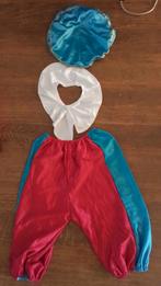 Pietenpak compleet, Kinderen en Baby's, Carnavalskleding en Verkleedspullen, Ophalen of Verzenden, Zo goed als nieuw, 110 t/m 116