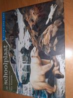 De Schoolplaat - M.A. Koekkoek, Ophalen of Verzenden, Zo goed als nieuw, M.A. Koekkoek, Non-fictie