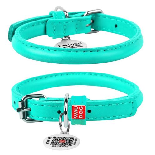 WAUDOG Glamour Rolled Halsband Leer Mint XS 20-25 cm KOOPJE!, Dieren en Toebehoren, Hondenhalsbanden en Penningen, Nieuw, Handgemaakt