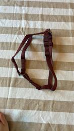 H-tuig honden/puppy trixie rood/paars S-M, Dieren en Toebehoren, Ophalen of Verzenden, Gebruikt