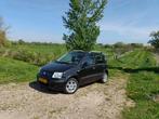 Zeer mooie (ook binnen) Fiat Panda airco LM-velgen apk 2026, 1242 cc, Zwart, Origineel Nederlands, Handgeschakeld